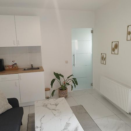 Apartement L'Anil Garden 디넝 외부 사진